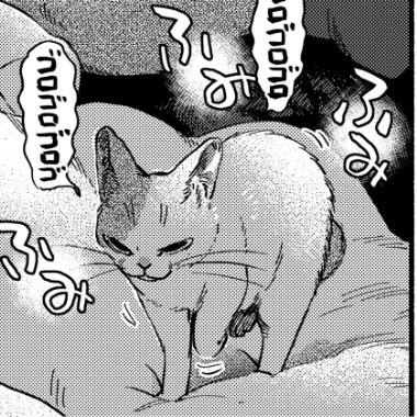次回のねこだまりは6/29発売の週刊漫画TIMES(7/13号)に掲載予定です。ゴロゴロします🐈 