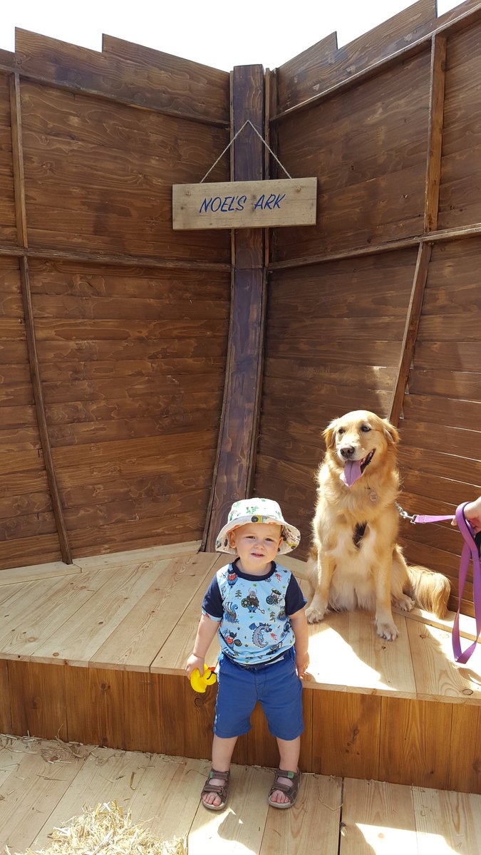 Awkmp's tweet photo. #dogfest #bristoldogfest https://t.co/qs07rBb8r5