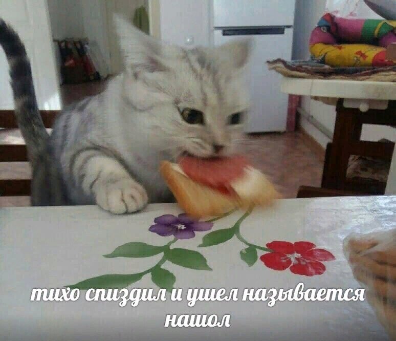 <a href="/ava_lance/">AvaLance</a>
