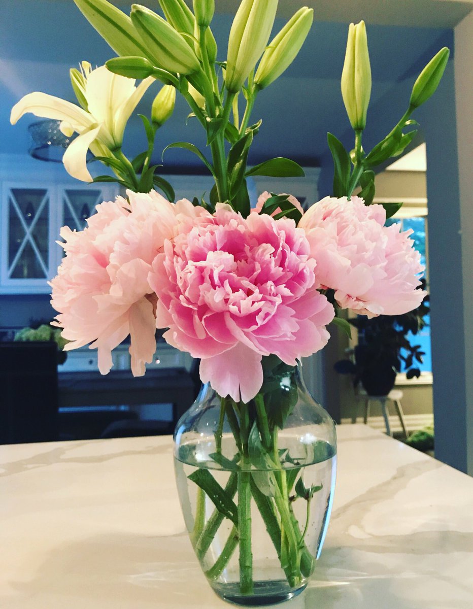 CrystalMoss's tweet photo. I bought these beautiful peonies yesterday and they were nothing but hard, round orbs. Three hours later they looked like this. Layers of delicate, fluffy pink ruffles! And I can't help but smile every time I look at them 😊🌷🌸 #sightsofsummer #naturesbeauty https://t.co/5IErVRTLUX