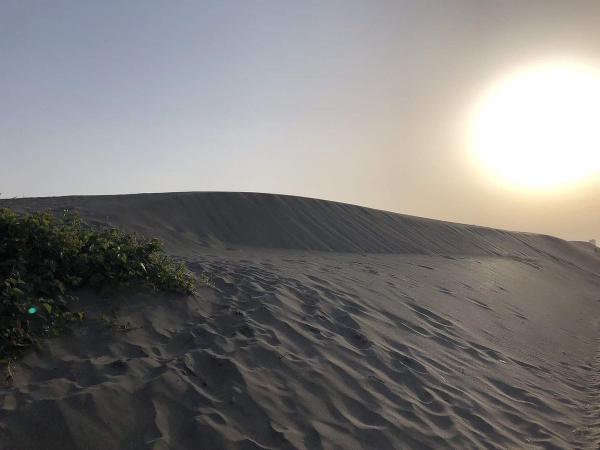 ট ইট র コスナビ コスリュウ Cosryu コスプレ撮影会 館山砂浜 千葉 18 7 28 29 土 日 開催 砂浜 草原 海で撮影できます 7 28 土 12 00受付 14 00会場open 00close 7 29 日 3 30受付 5 00会場open 10 30会場close 夕景 日の出が狙えます ご