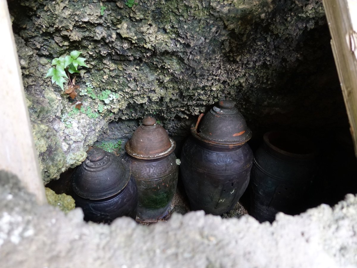 今回の沖縄旅行では風葬場を見ることができた。詳しい場所は明かせへんけど厨子甕が残されてたりとても貴重な体験ができました。手入がされる感じはなかったので放置されてるんやろな。今度は1960年頃まで続いたといわれる久高島の風葬場も見てみたいもんです。