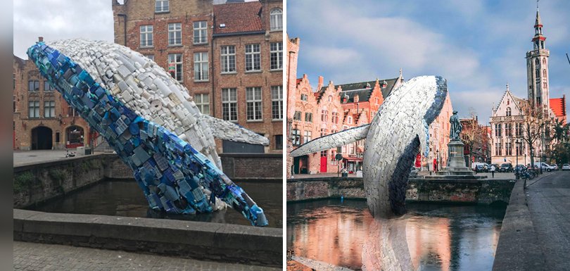 Creapills 💊 tweet media