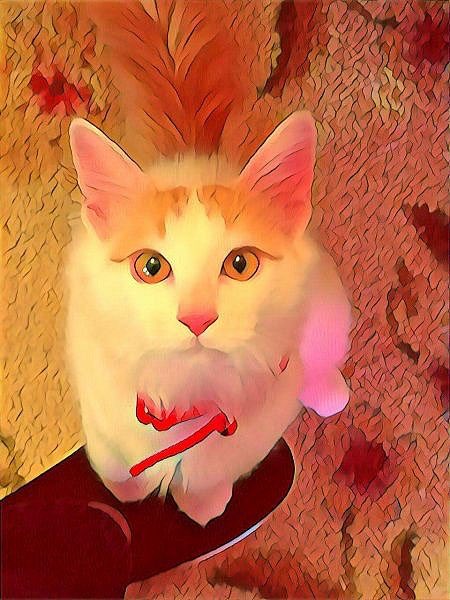 TattleCat's tweet photo. Fun with Rabbit and Probonix. #HumarianAmbassador.
https://t.co/vH0YKDs5Vk https://t.co/gKQkoWEJ7D