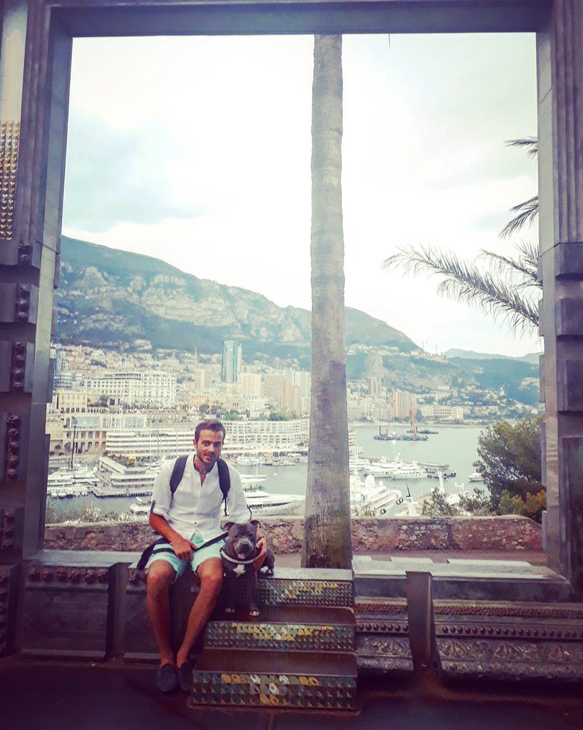 Flow_Monaco's tweet photo. Les bons petits touristes dans leur propre pays lel ! 🐶🇲🇨 @#chiend'attaque#baddog#lel @PoupieN https://t.co/ujOYGIsuPs