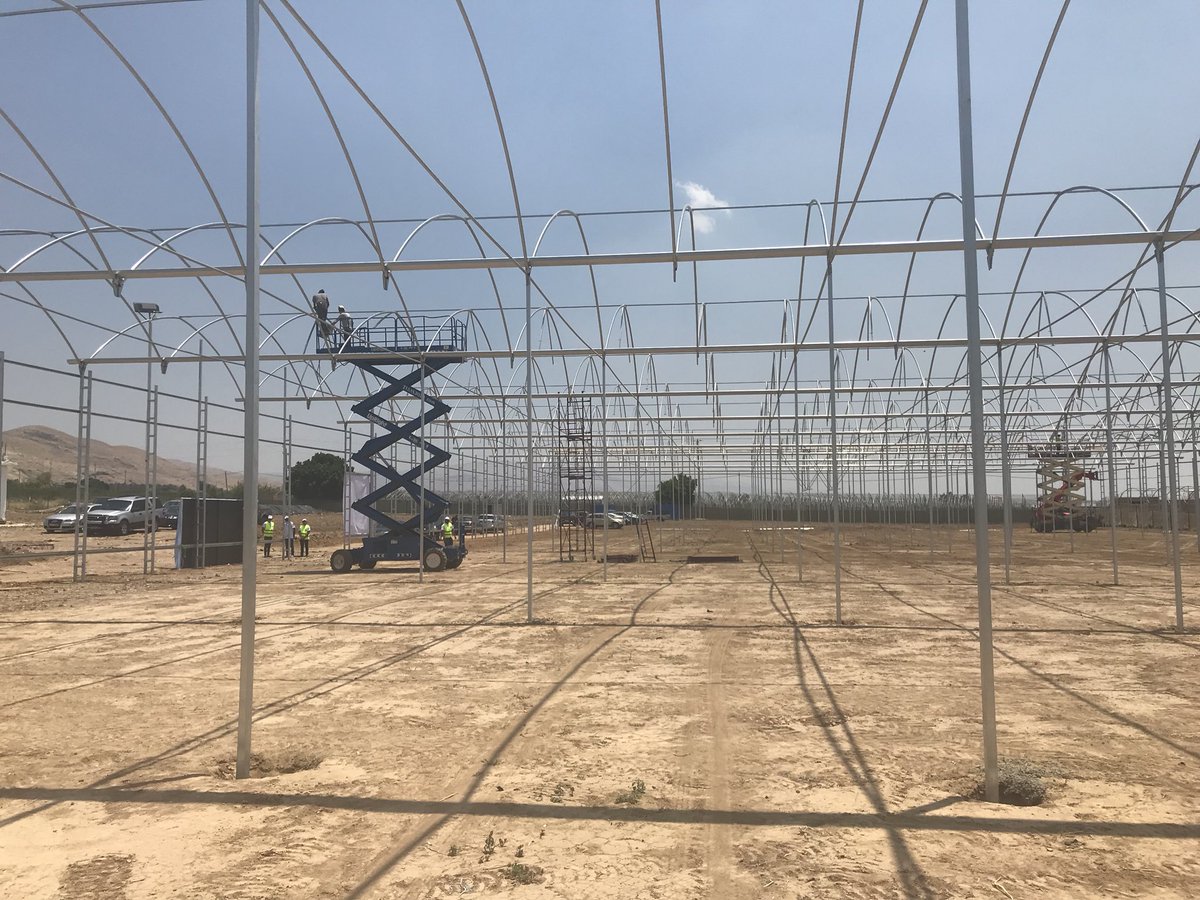 Charlotte9999's tweet photo. @SigridKaag Au Jordanie, à Deir Alla, cette exploitation agricole fleurit. Avec moins d'eau ils produisent davantage et mieux aidé par l'expertise néerlandaise. Résultat: davantage de bénéfices et d'emplois créés. Le chemin à suivre #globalprospects #NLinJordan https://t.co/22QcAPOHrm