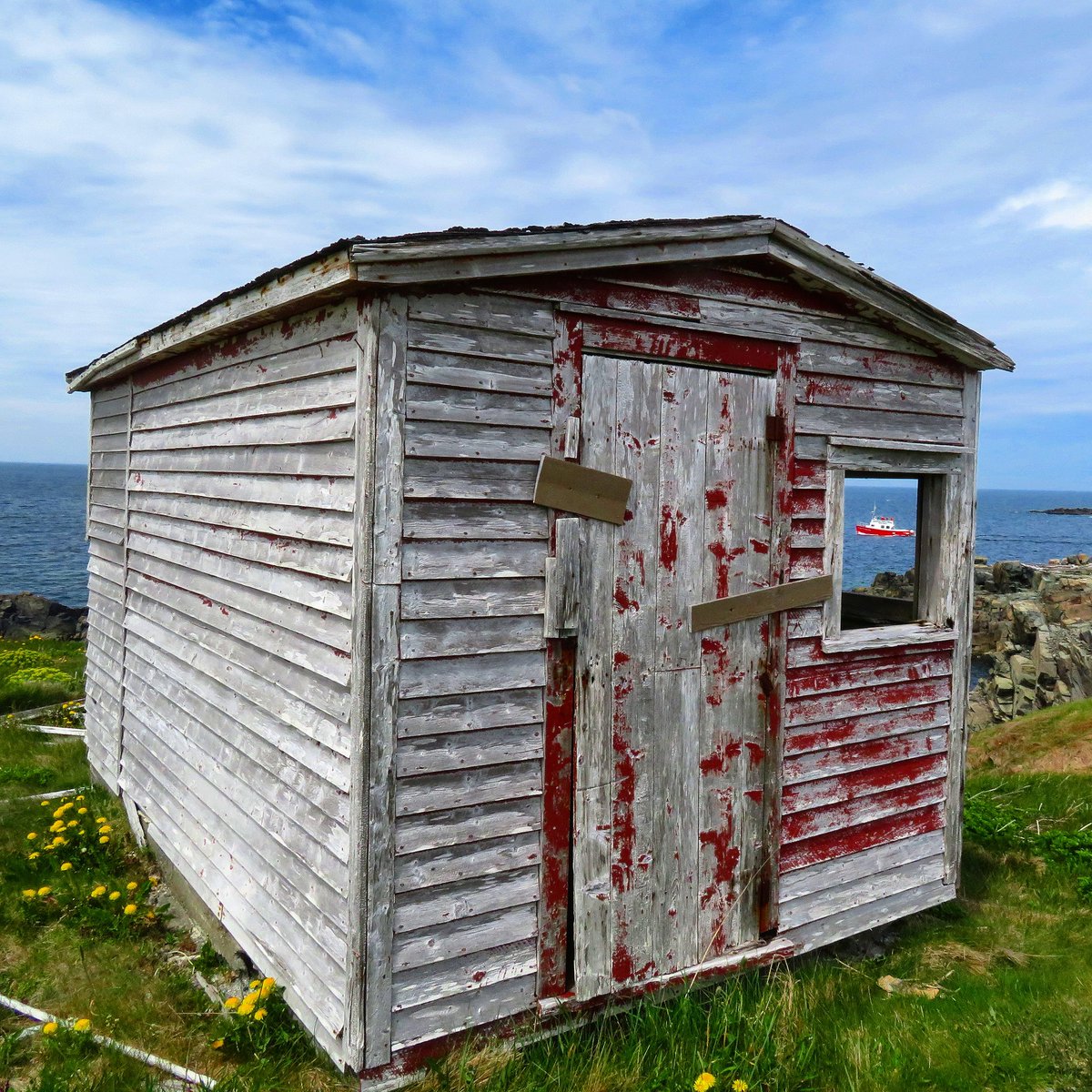 <a href="/bonavistaboat/">Bonavista Boat Tours</a> I spy with my little eye...😉
#explorenl #summer #Bonavista #boattour #cbcnl #NLwx #nltraffic