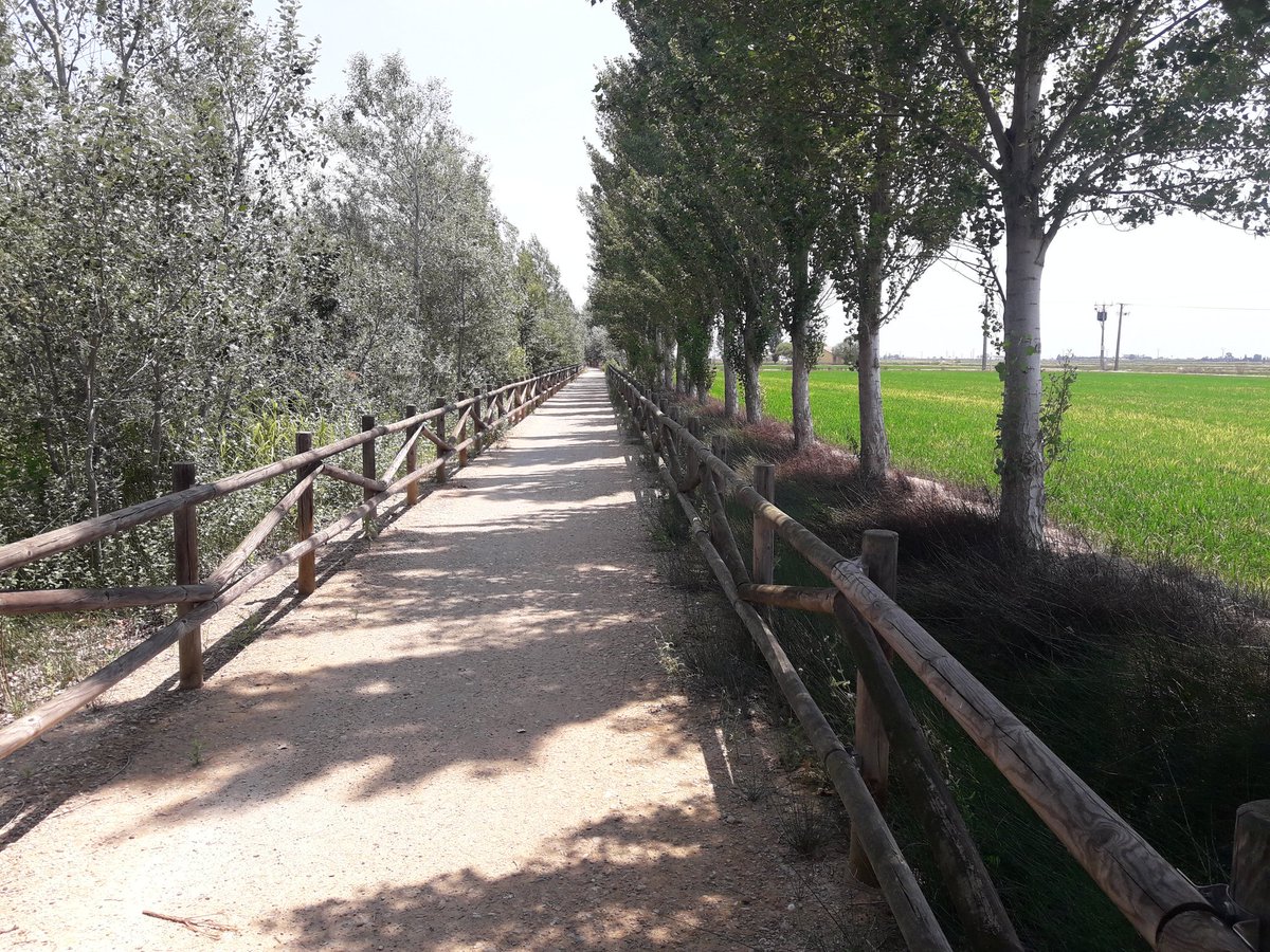 ipatnico's tweet photo. #gravelparadise #deltaparadise #alfacsbay #outisfree #sundayers with https://t.co/8AHmpus9nh - @ToursCat @EbreTravel @catexperience @terresebretur https://t.co/Fc7lm7vvyC