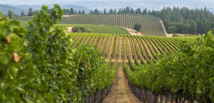 Soil to sale, ranch to register: How #IoT connects producers, distributors, retailers and consumers: htchivantara.is/2MrhrXO via <a href="/NetworkWorld/">Network World</a>