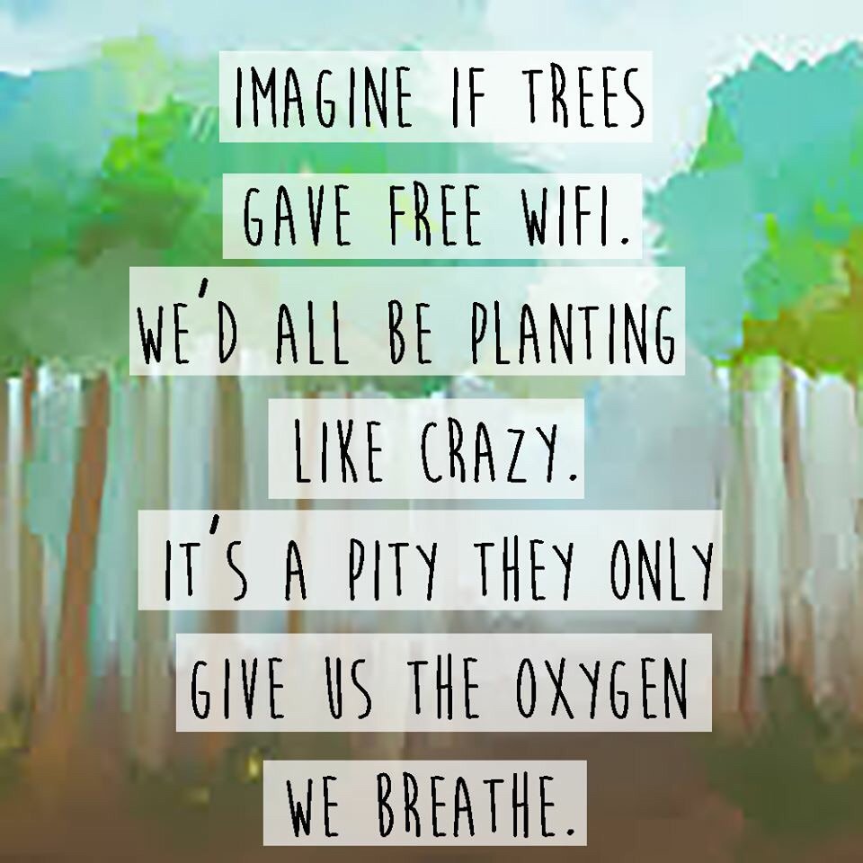 Imagine...

#quote #wifi