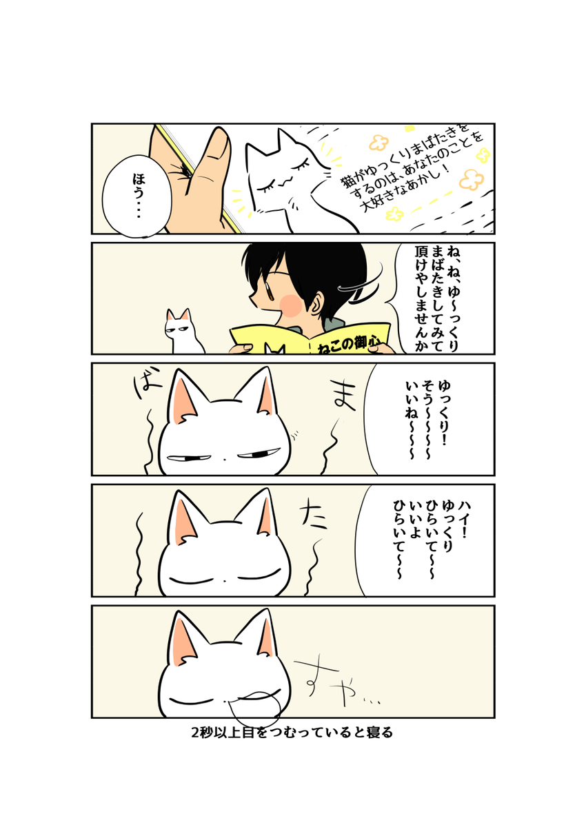 ネコチャン 