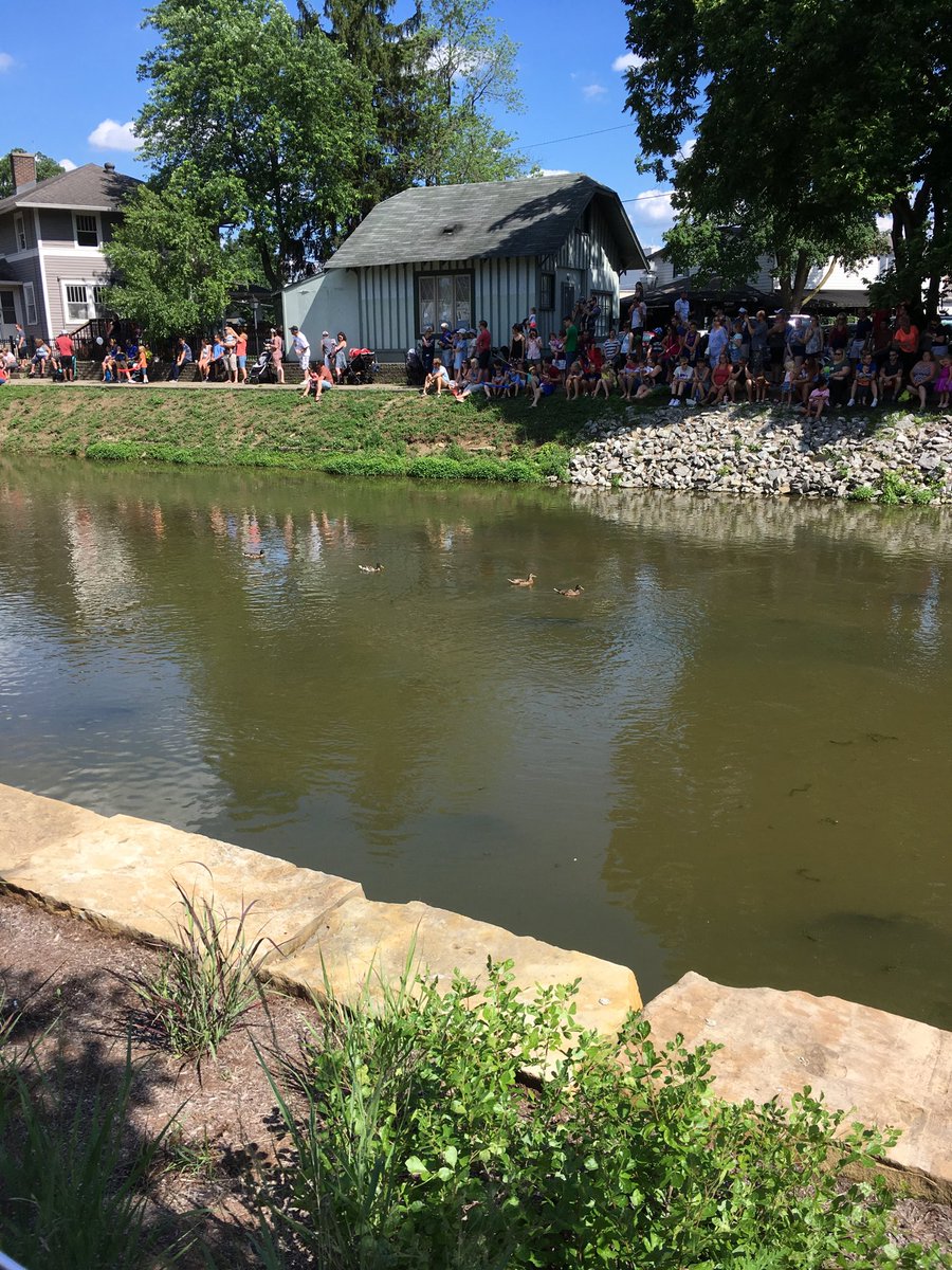 JillDitmire's tweet photo. Duck Race?? #brva https://t.co/09OreyoO0t