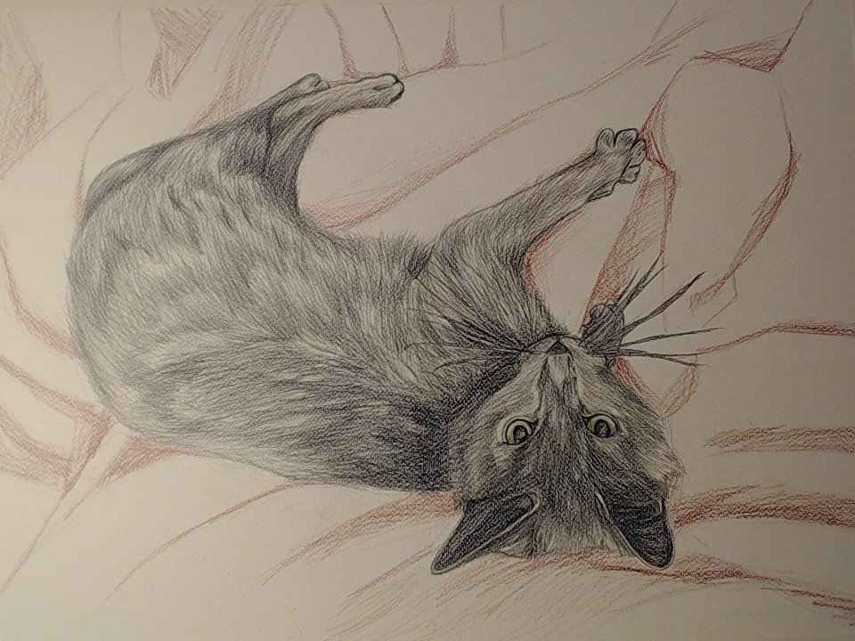 Abigail_Arts's tweet photo. Drawing my sweet cat with Derwent Metallic pencils - Part 3.
#drawing #pencilart #pencil #coloredpencil #derwentpencils #derwentmetallicpencils #metallic #yea #cat #mysweetcat #olnlymine #xd #painting #watercolor https://t.co/5XJUAm9oRP
