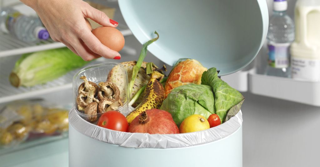 0xNinad's tweet photo. Meet Goodr, the company using blockchain technology to reduce food waste https://t.co/g0Ou1f4LVG #blockchain, #blockchaincanhelp, #blockchaincause, #blockchainforgood, #blockchainimplementation, #blockchainstartups, #blockchainusecases, #foodwastemanage… https://t.co/e2AUbvOffn https://t.co/EjrkhYMb3B