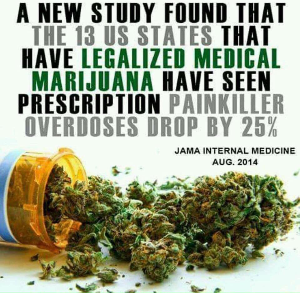 MedMarijuana's tweet photo. https://t.co/Mx3UxpOkdc