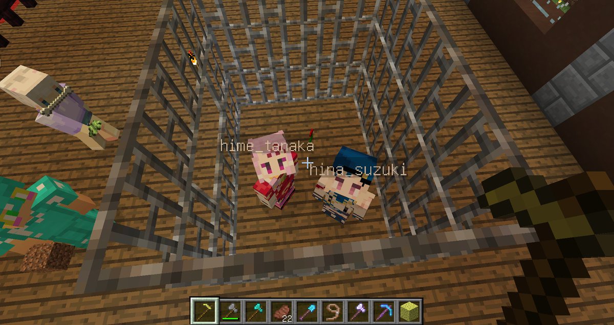 赤銅峰煉次 Vtuber制作サークル Akプロ クリエイター系vtuber 依頼受付中 En Twitter マイクラで田中ヒメちゃんと鈴木ヒナちゃん のスキンだけ 私の世界に来てもらいました ずっとここで一緒に暮らそうね ずっとずっと ヒメヒナアート