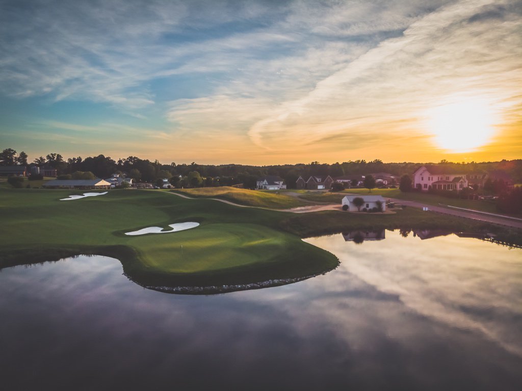 Creative Dog Media tweet media