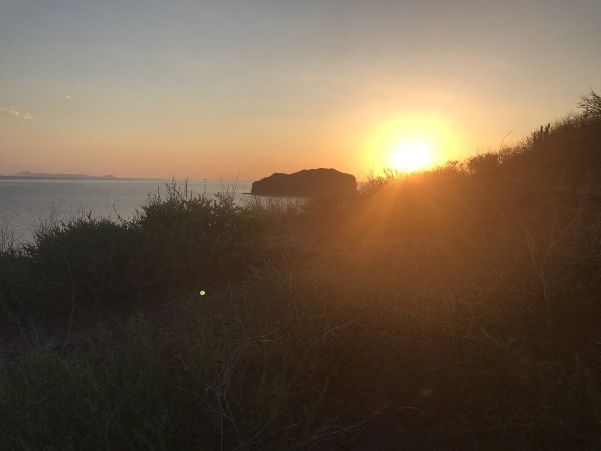 Jillsfoodtravel's tweet photo. Sunrise @TravelBajaSur while hiking @VilladelPalmarL @villadelpalmar in #theislandsofloreto @HunterPR https://t.co/IRLWuPahpq