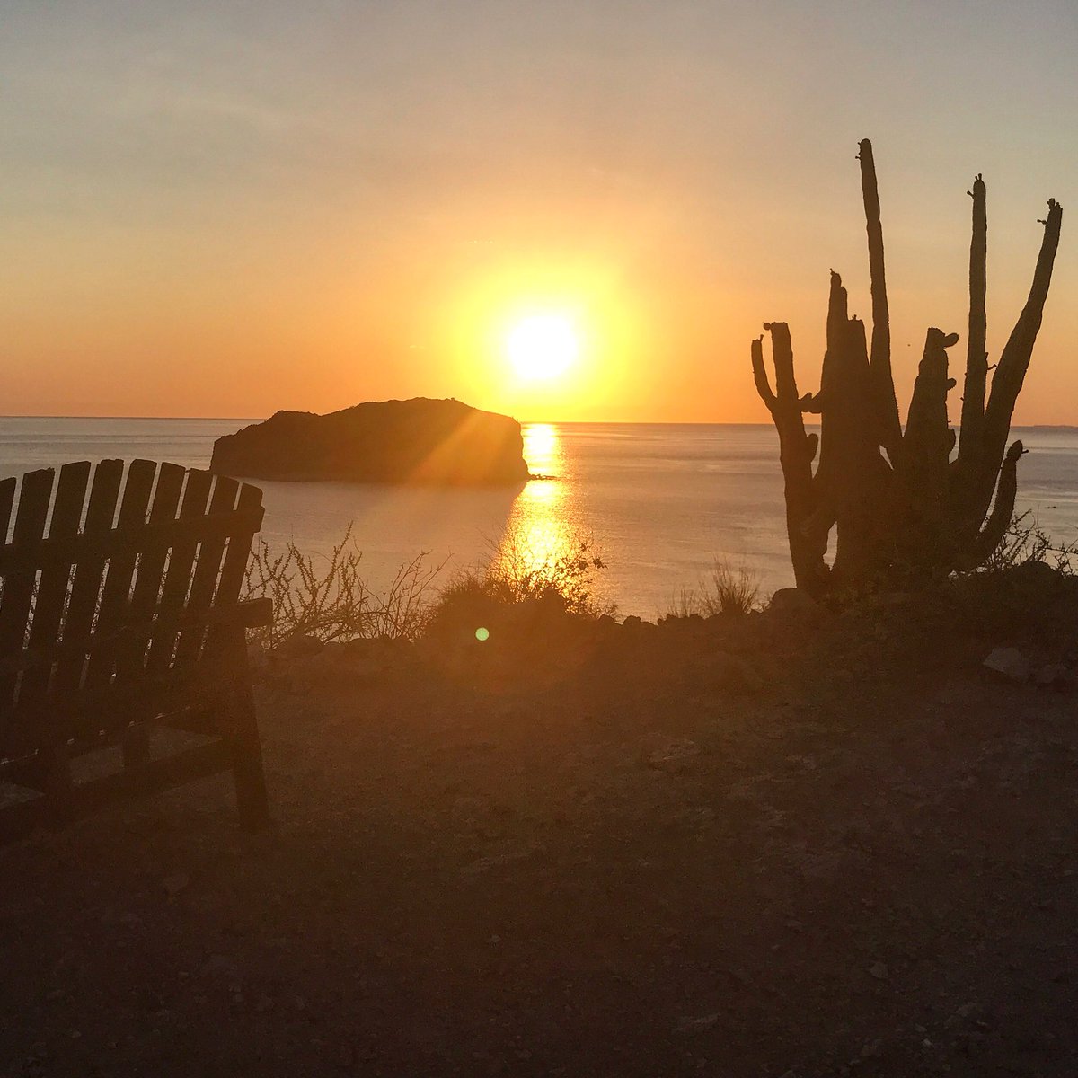Jillsfoodtravel's tweet photo. Sunrise @TravelBajaSur while hiking @VilladelPalmarL @villadelpalmar in #theislandsofloreto @HunterPR https://t.co/IRLWuPahpq