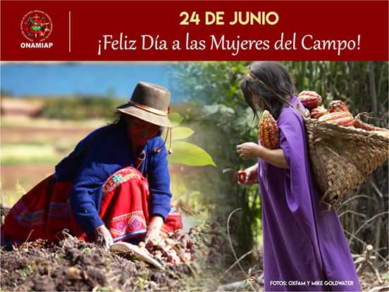 onamiap's tweet photo. Las mujeres indígenas jugamos un rol fundamental en la producción de los alimentos que son consumidos en todas las mesas peruanas. Contribuimos a garantizar la seguridad alimentaria del país.
¡Feliz Día a todas las Mujeres del Campo! 🎉
Lee: https://t.co/xFgJoEgUQ9 https://t.co/ULxuQDxYVv