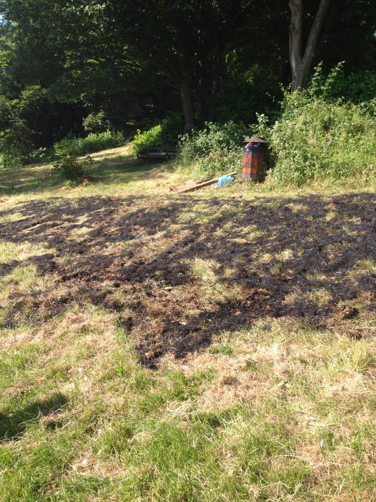 Fire started by a couple of girls at Holmer Lake #Telford extinguished by TAA bailiffs,  well done guys.