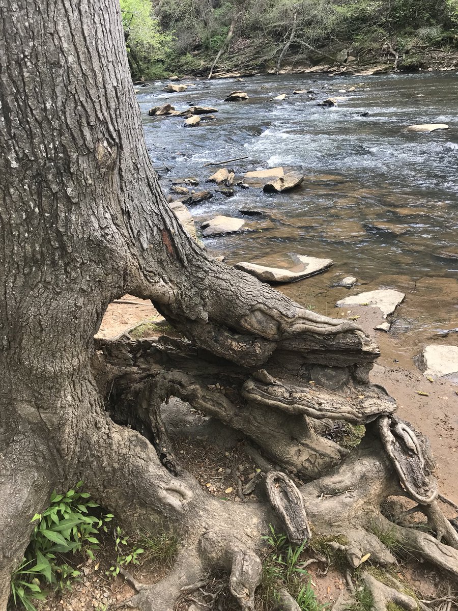 usaflyco1's tweet photo. #SundayMorning and we are hitting the #river #USA #flyfishing https://t.co/yWe2PYQ9k5 #Browns #troutfishing #MAGA https://t.co/ir32lgSzCj