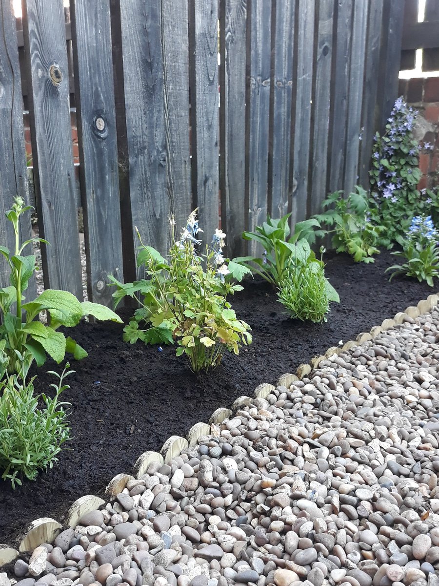 MrsDaviesTeach's tweet photo. Had a wonderful day taking some time for me and planting up in our front garden. Research suggests putting your hands in soil releases happy chemicals! #feelinggood #plants #newborder #freshair https://t.co/qBDjIy3zD9