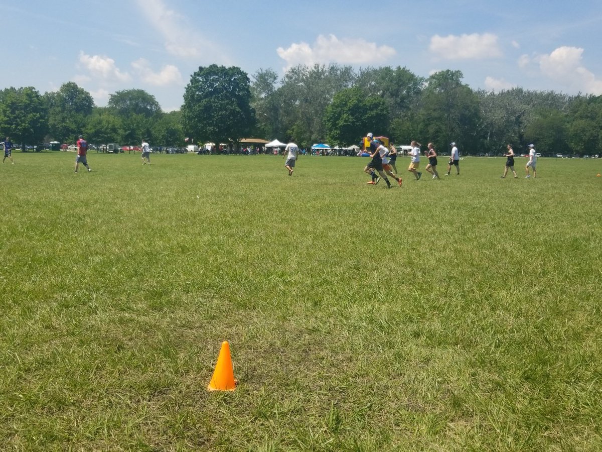 Stackcats tweet media