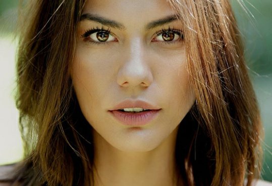 Çiçek, böcek🌸 #ErkenciKuş #SanemAydın #DemetÖzdemir #CanEm