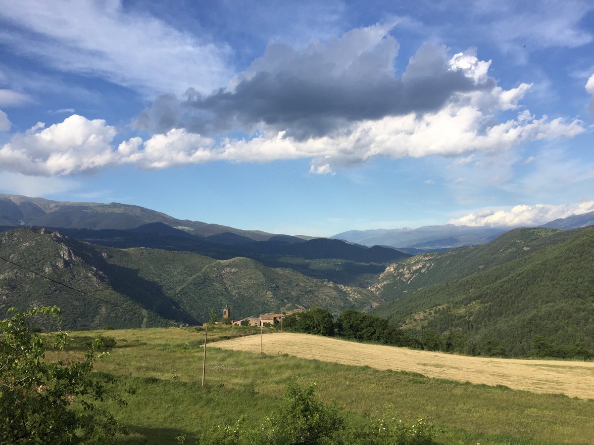 aleixmillet's tweet photo. Comença una setmana de camp al #Pirineu amb el seguiment d’aufrany i gall fer! https://t.co/WMhdpNEEn8