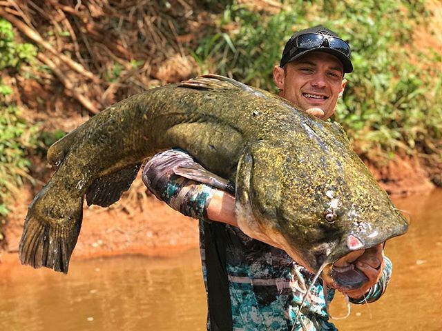ProdigyBoats's tweet photo. Who can guess the weight on this tank? Congrats to our friend @bondchristian007 on a hell of a flathead!! #prodigyboats #getbit #sunday #sundayfunday #okie #oklahoma #river #noodling #flathead #bluecat #catfish #tank #bigassfish #prodigylife https://t.co/RzvKSl6boF https://t.co/aVwJodR3l8