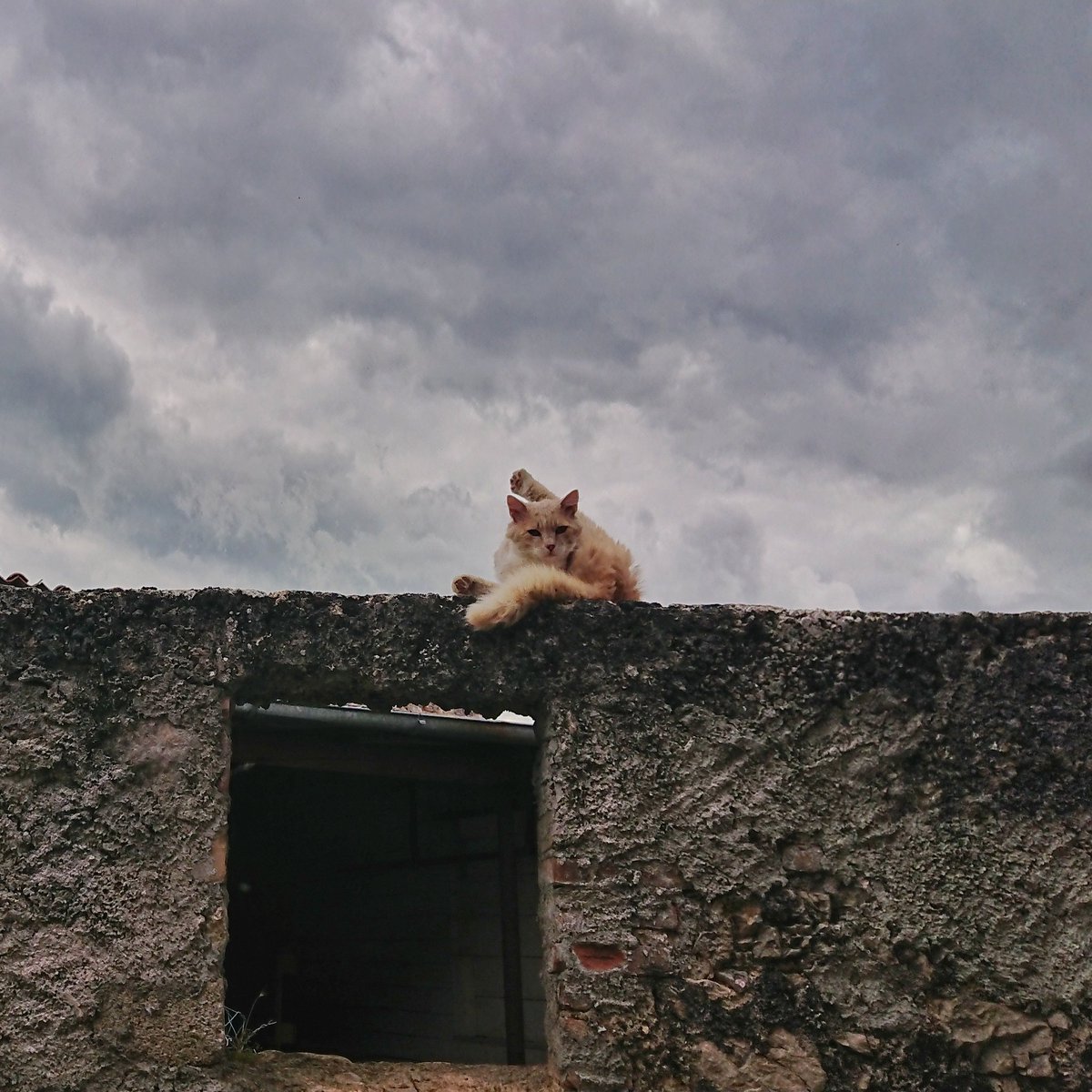 In #NIC2018 in Gran Sasso this week. I found Assergi, the nearest town, very safe. There must be very few bad people around. In fact, I don't even see people around...