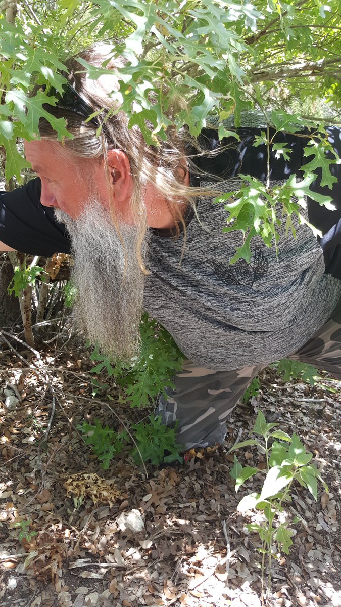 GoodDogDiscGolf's tweet photo. Saving knees with the GroundBound one shot at a time.
 Send me your pics using your GroundBound and win a custom GroundBound. Catagory? Most difficult shot. Winner will be announced on july 21st. https://t.co/KfBOyCj2dg