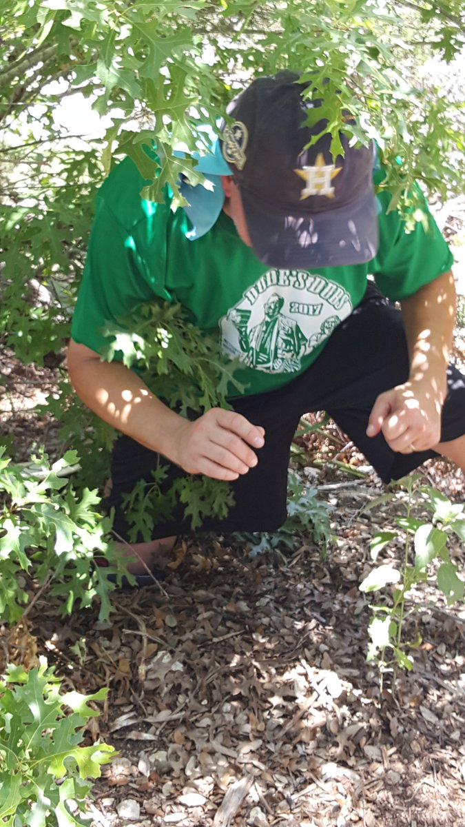 GoodDogDiscGolf's tweet photo. Saving knees with the GroundBound one shot at a time.
 Send me your pics using your GroundBound and win a custom GroundBound. Catagory? Most difficult shot. Winner will be announced on july 21st. https://t.co/KfBOyCj2dg