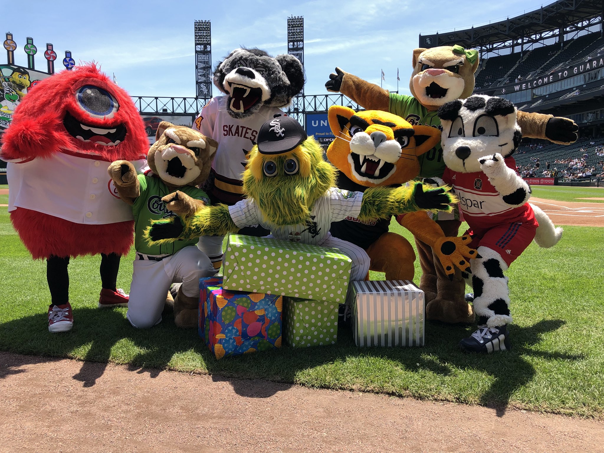 Chicago White Sox on X: Happy birthday, @Southpaw! All of Southpaw's  friends are here to celebrate his special day. 🎉   / X