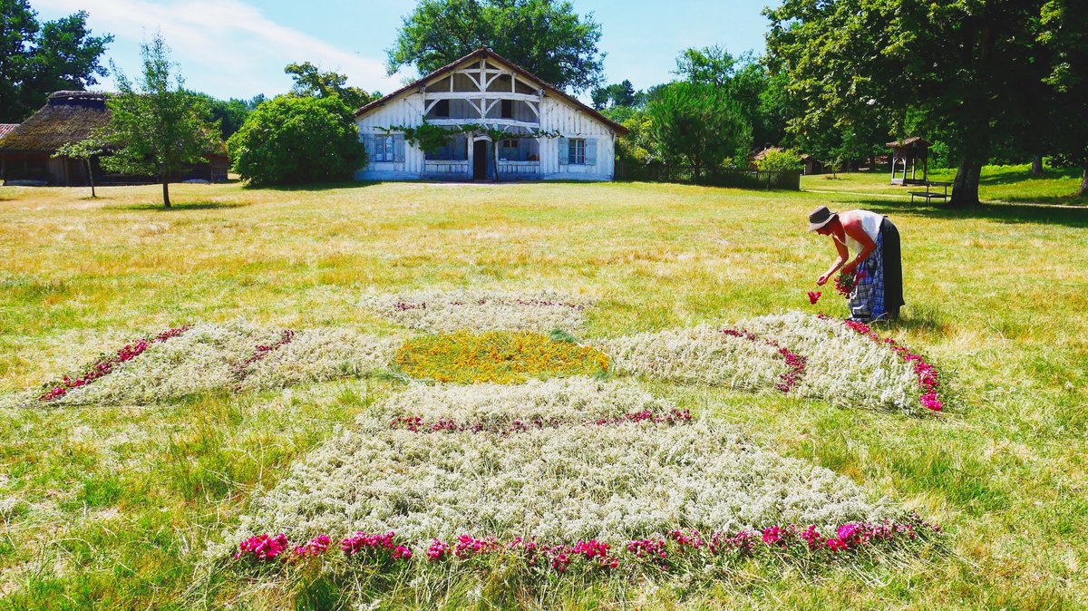 EcomuseMarqueze's tweet photo. Avez-vous déjà vu, une croix de la Saint Jean géante? 
Oui, à Marquèze bien sûr ! 
💐💐💐
#marqueze #landes #leslandes #patrimoine #traditions #jardin #fleurs #croixdesaintjean #été #summeriscomming #nouvelleaquitaine #loveaquitaine #lovemarqueze #bordeaux #montdemarsan https://t.co/22lNUBmvwX
