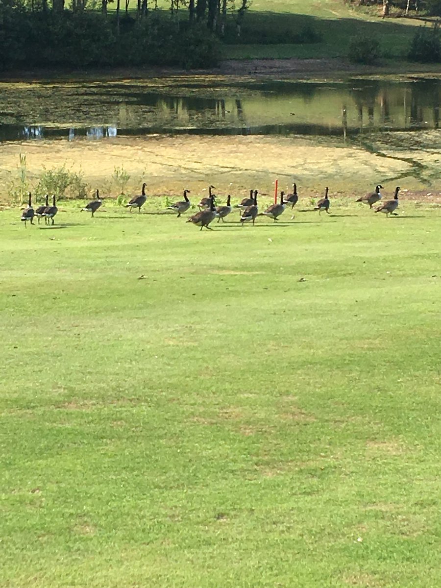 Luckett CC tweet media