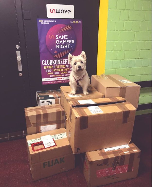 ingamegisos's tweet photo. Noch 6 Tage bis zur INSANE GAMERS NIGHT! Die Gewinne und Geschenke sind da....
Jetzt ranhalten, Tickets holen, solange es noch welche gibt, Give Aways Abstauben...da gibts für jeden Besucher was zu holen https://t.co/ieKBm4zjSd
#insaneparty https://t.co/o6bsfqyR3K