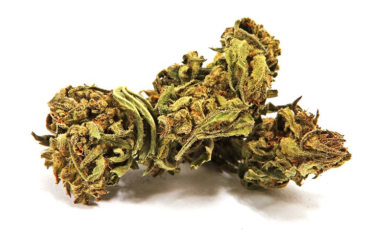 magicalweed_it's tweet image. Viking Kush ricorda l’odore più piacevole e confortante dei campi in piena estate - magicalweed.com/cannabis-legal…