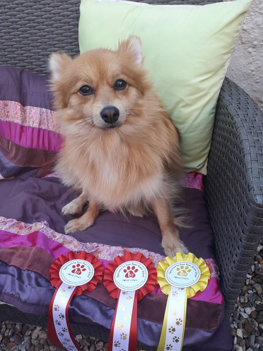 Proud Mum again 2 1st and hey?, a third x