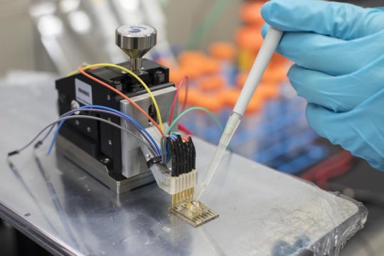Low-cost plastic sensors could monitor a range of health conditions sciencedaily.com/releases/2018/…