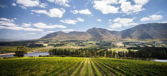 vine_run's tweet photo. #savethedate of our very first Vines to Valley trail run at the majestic Newton Johnson Family Vineyards estate!
 
Date: Saturday 11 August
Time: 9am 
For more info contact:
Coastline Events | Bianca Le Roux info@coastlineevents.co.za https://t.co/VaqK0oxRtC