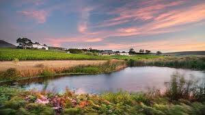 vine_run's tweet photo. #savethedate of our very first Vines to Valley trail run at the majestic Newton Johnson Family Vineyards estate!
 
Date: Saturday 11 August
Time: 9am 
For more info contact:
Coastline Events | Bianca Le Roux info@coastlineevents.co.za https://t.co/VaqK0oxRtC
