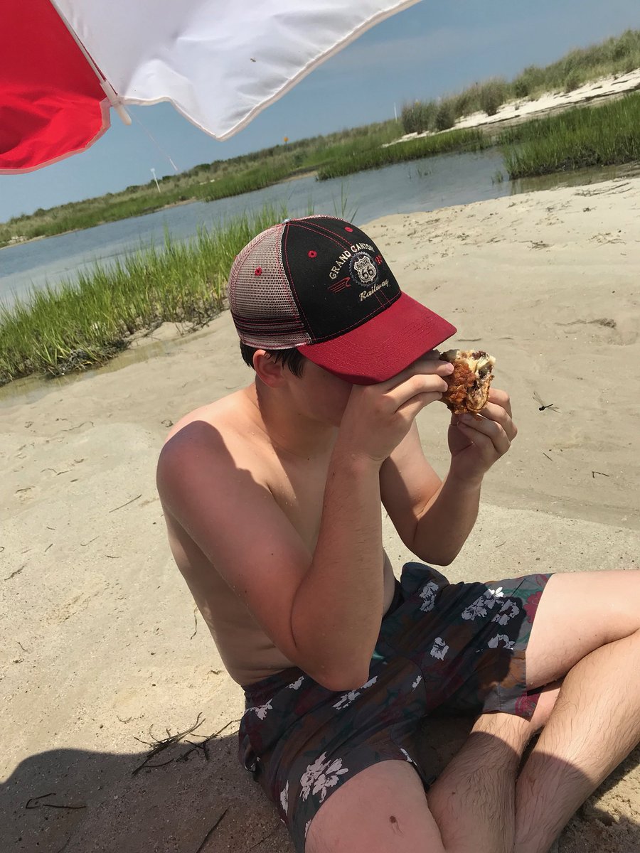 KoalaThatFlies's tweet photo. Beach day? You mean food time! https://t.co/VITquPNYc6