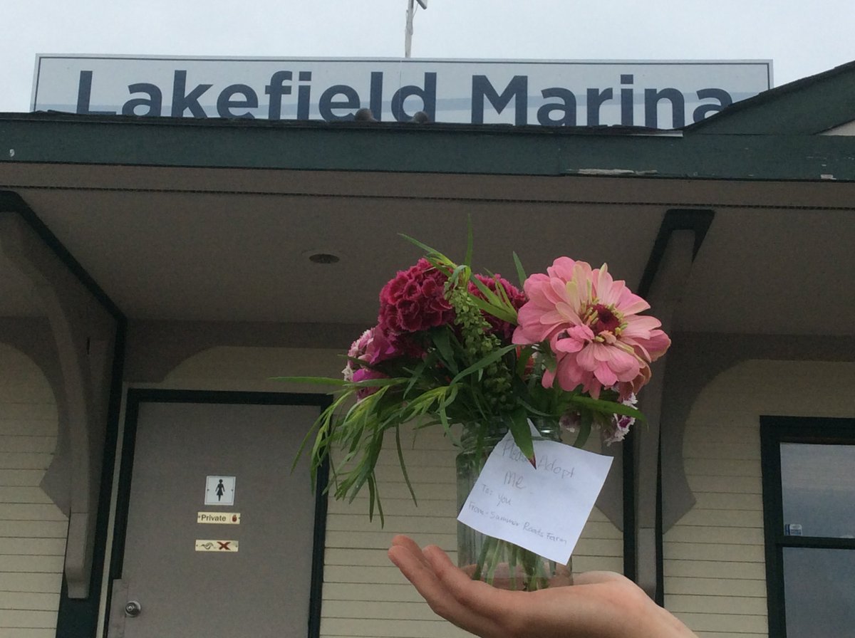 Happy International #lonelybouquetday 
Thank you to Summer Roads Farm for being so thoughtful and brightening the day for so many people.