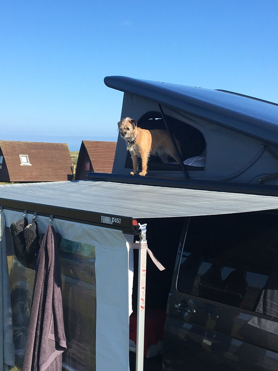 MillytheExplore's tweet photo. Went to #beach 🏝ad a swim, ad a #surf 🏄‍♀️ate some #noms 🥩slept round #campfire 🔥hope you all as gud weekend pals ✌🏻 #BTposse https://t.co/5bP9pnzjhb