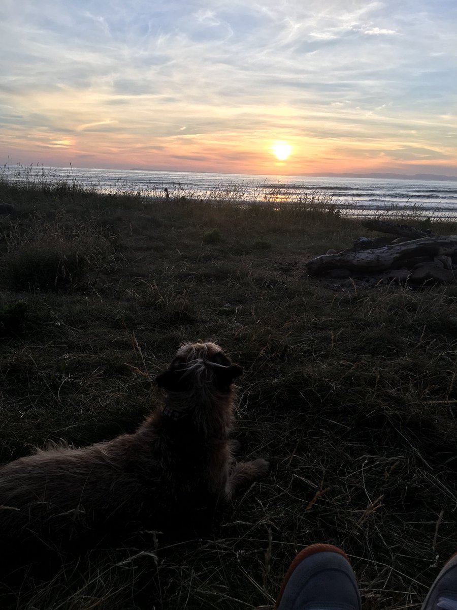 MillytheExplore's tweet photo. Went to #beach 🏝ad a swim, ad a #surf 🏄‍♀️ate some #noms 🥩slept round #campfire 🔥hope you all as gud weekend pals ✌🏻 #BTposse https://t.co/5bP9pnzjhb