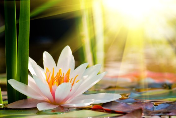 liliaw1895's tweet photo. Cynicism is a waste of energy, and hope will outlast pessimism. Whether we can see it or not, the sun is always shining. #HopeArises #ShineOn https://t.co/iCA5zdntdM