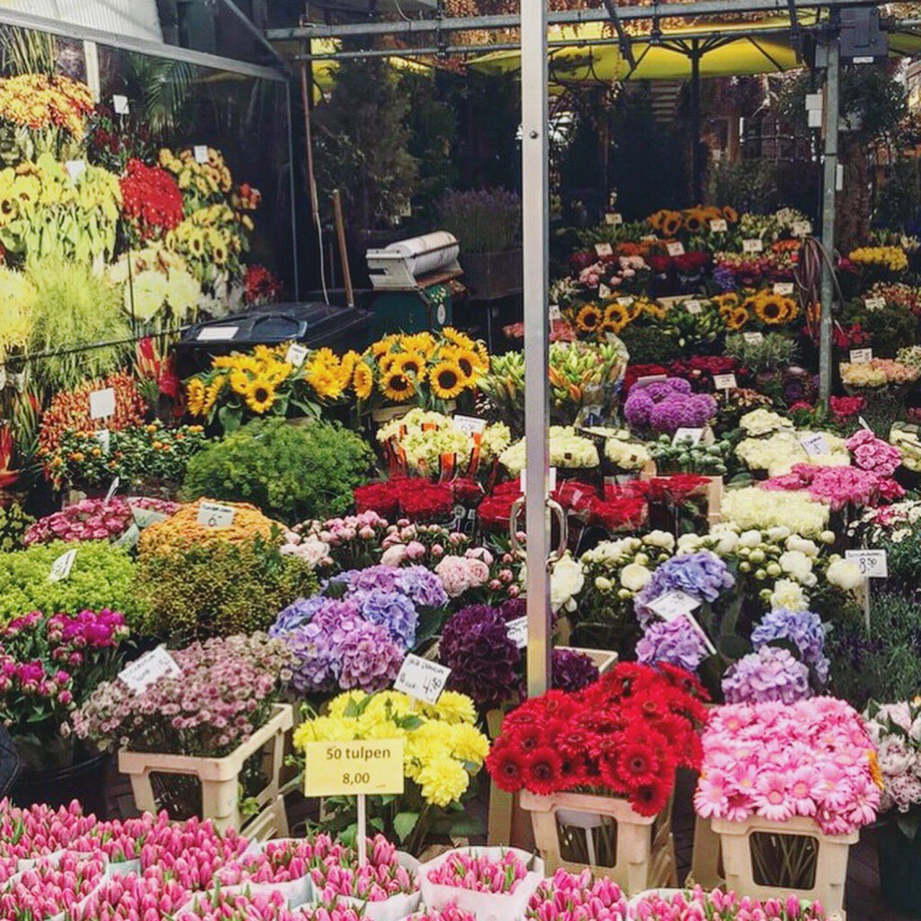 MarylGladstone's tweet photo. My #JOY is here at the Amsterdam Flower Market. Where is yours?!

#JoyExpert https://t.co/9ffkcVh4oh