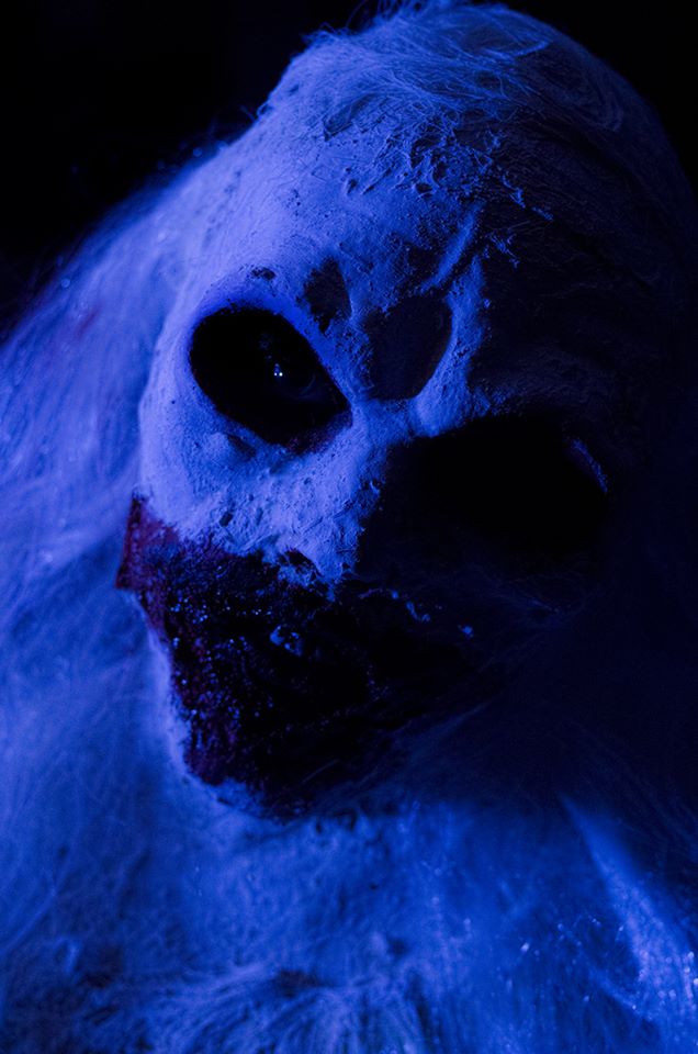 dreams4deadcats's tweet photo. I've been playing with some ideas for the "spooksmodel" for Tearful Surrender. Letting my inner castle freak ghoul flag fly! #castlefreak #ghoul #creep #spooksmodel #horrorhost #spfx #practicaleffectsmakeup https://t.co/gFq6UChW4I